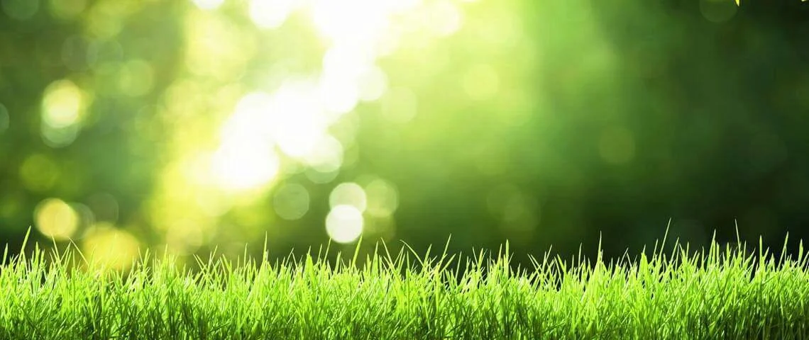 cool-season-lawn-header.jpg