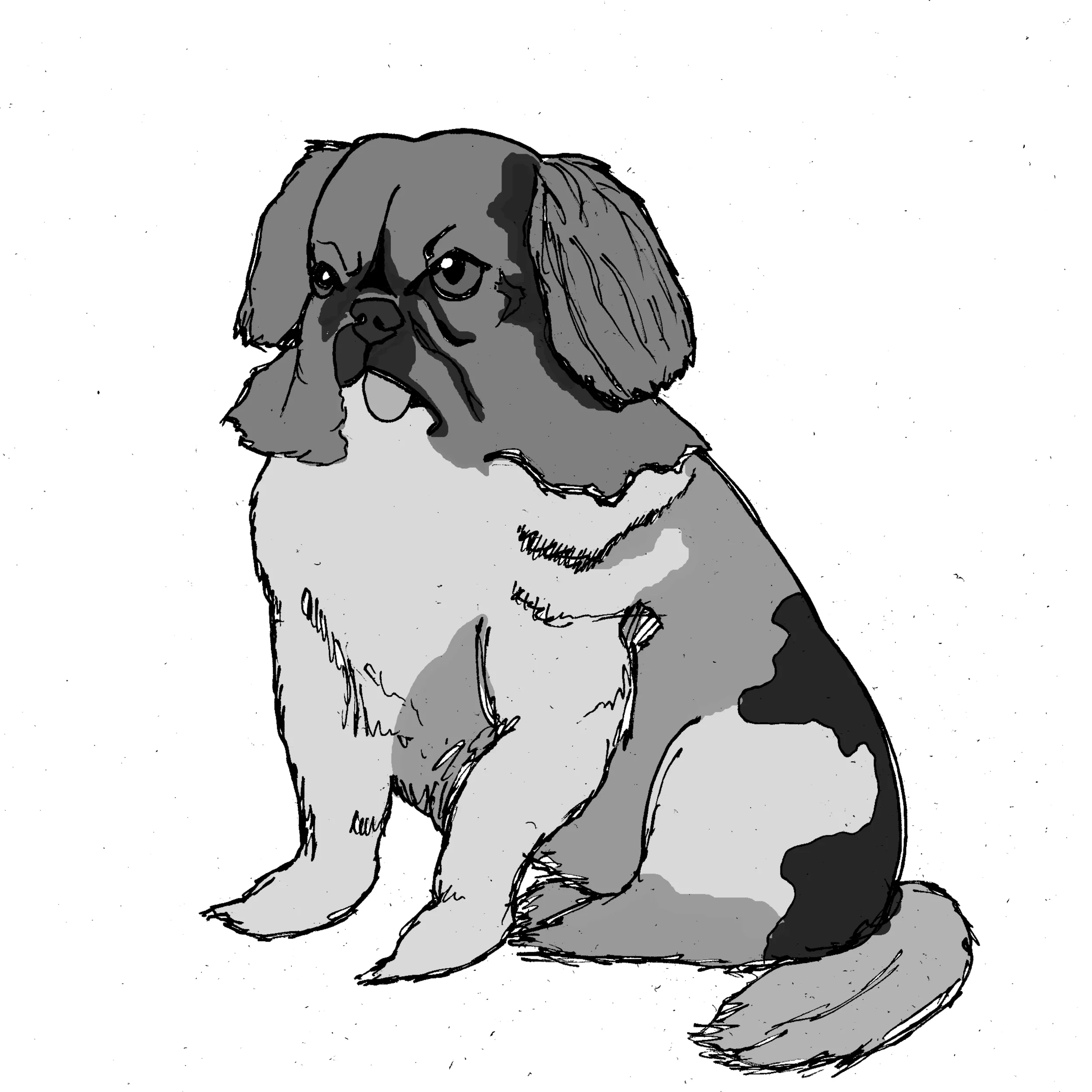 Looty was stolen from the Summer Palace in Beijing and given to Queen Victoria.