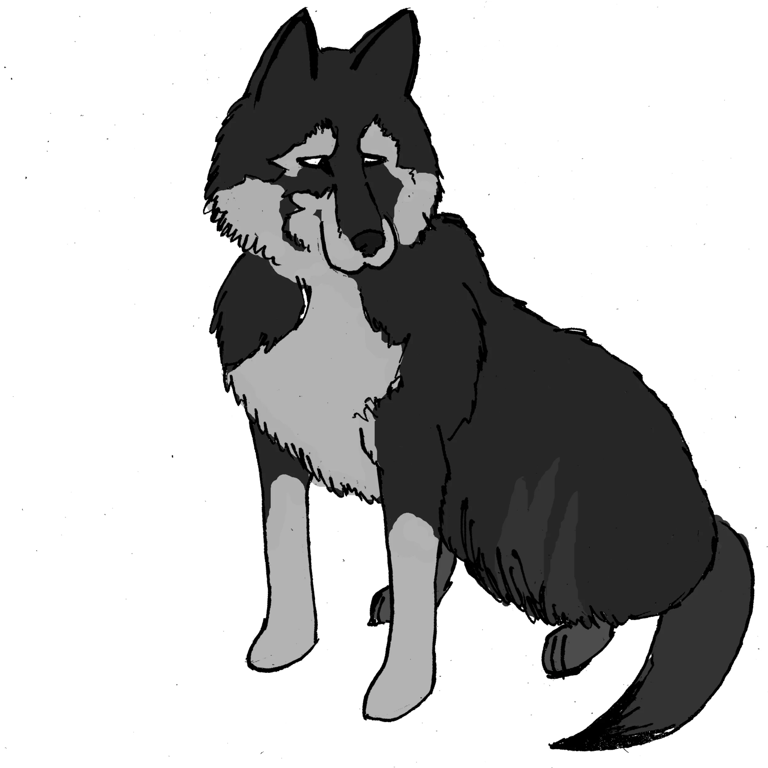 Togo was the lead dog on the serum run that is remembered by the Iditarod.