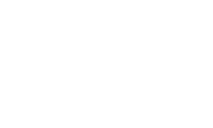 Squarespace Circle Gold Partner
