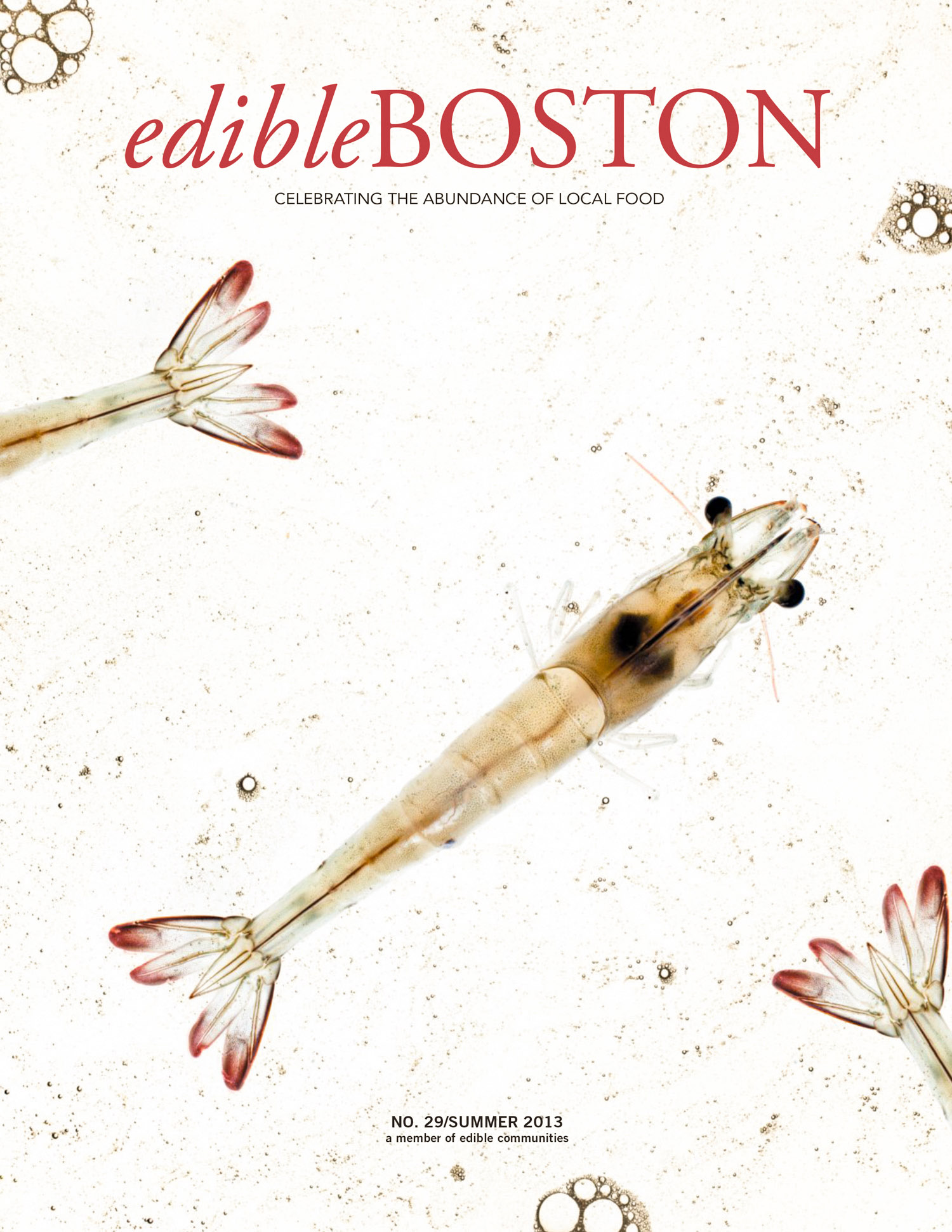 Sky8 Shrimp Edible Boston Cover photographed by Adam DeTour