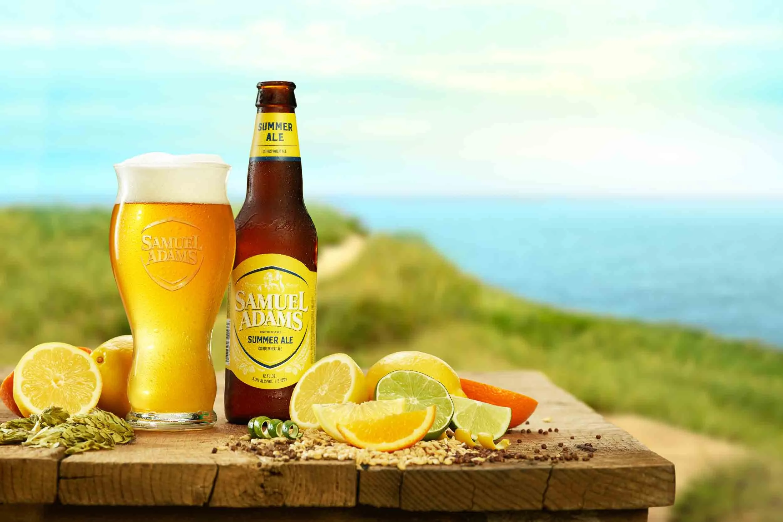 Sam Adams Advertisement Boston by Photographer Adam DeTour