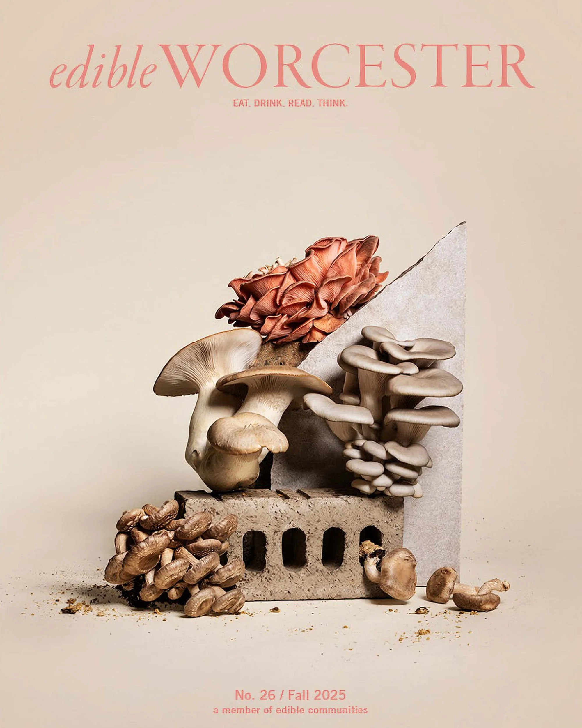 Cover of Edible Worcester Magazine featuring urban mushroom farm products by Boston Magazine Photographer Adam DeTour
