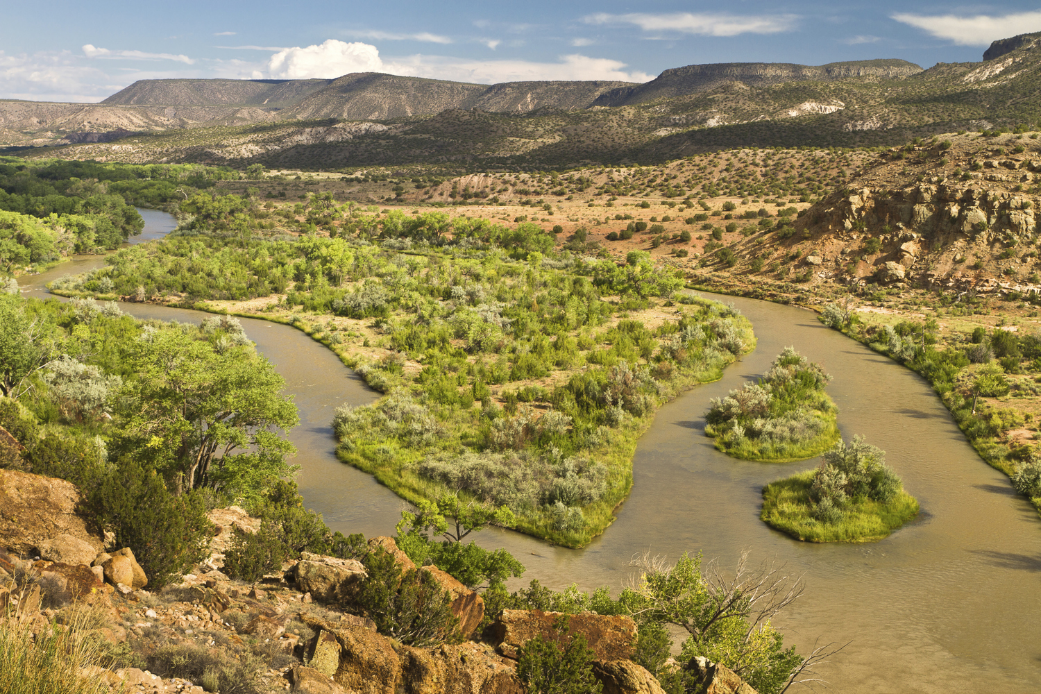 Photo by CarbonBrain/iStock / Getty Images