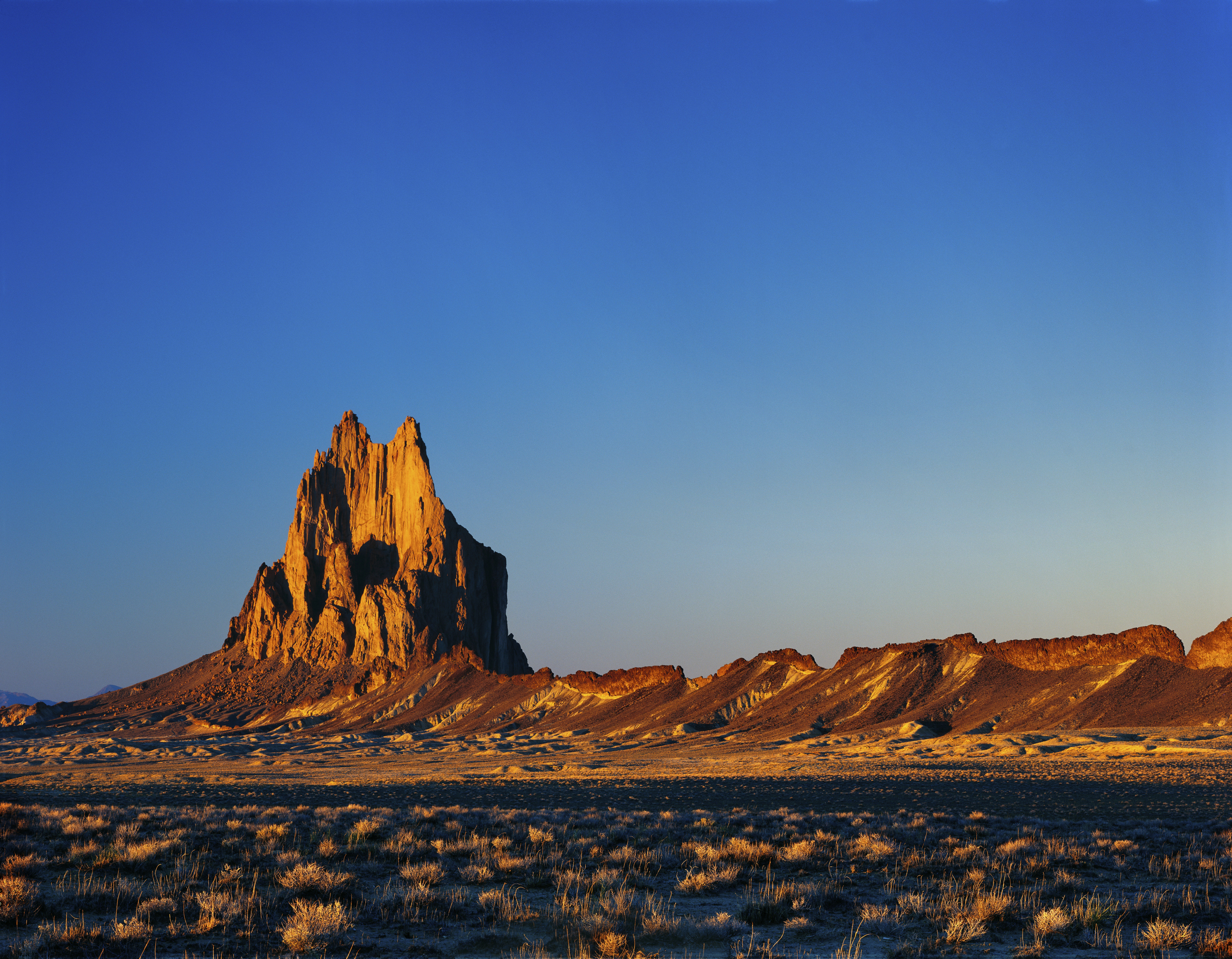 Photo by Scott_Walton/iStock / Getty Images