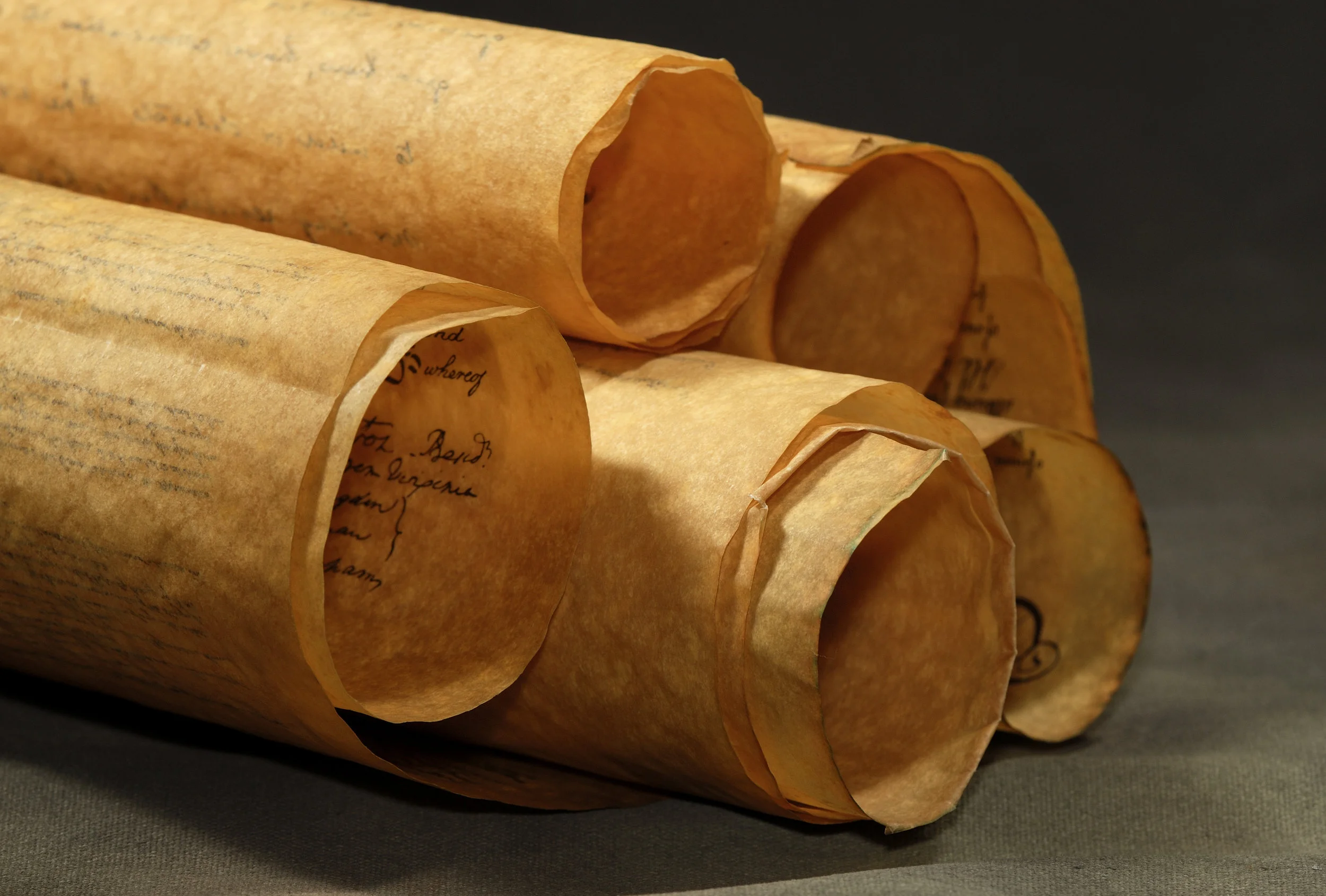 Several scrolls, their paper yellowed with age, traverse the image. The scroll’s perspective shows the circular arrangement of the scrolls. This image represents wills, trusts, and powers of attorney.