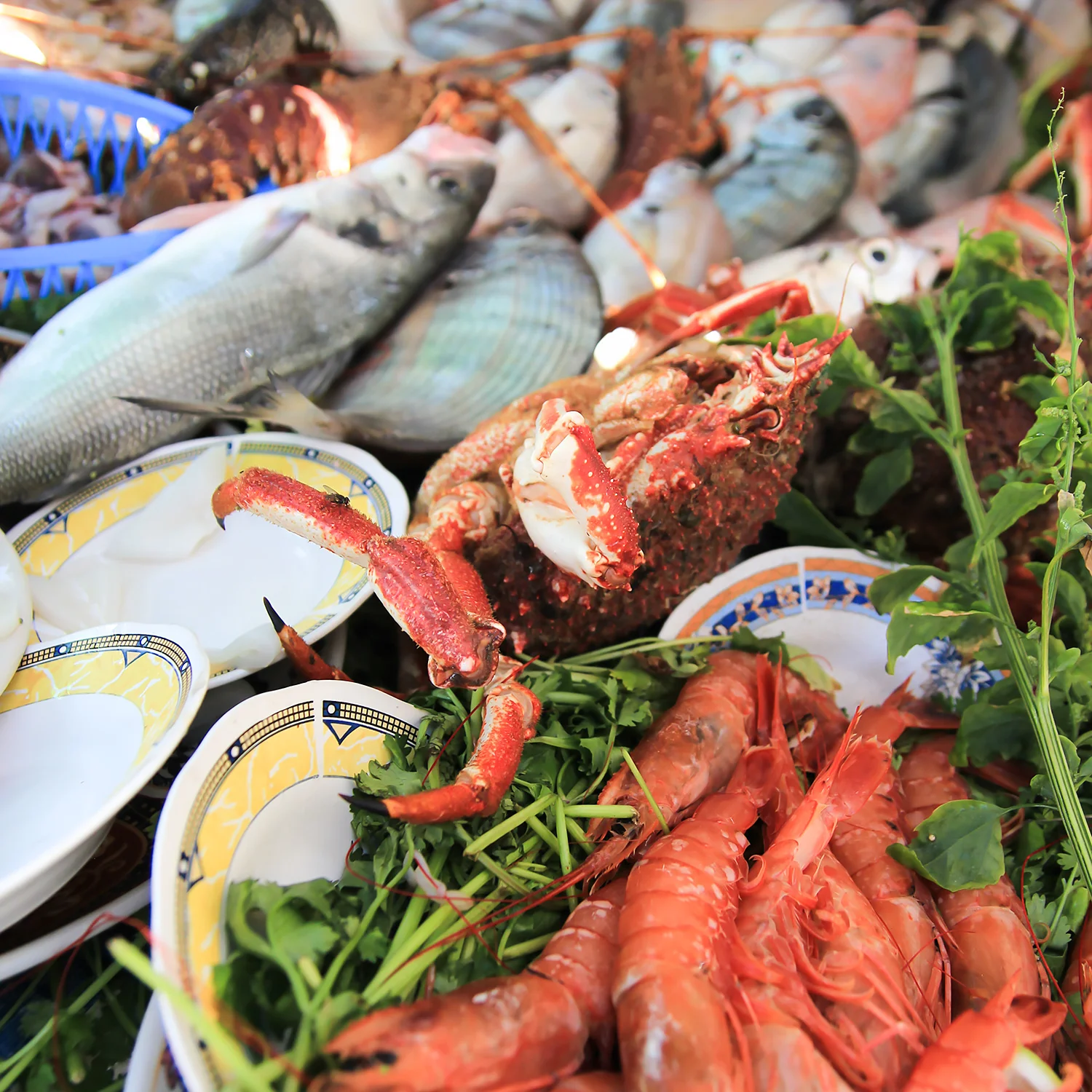 chrissihernandez_essaouira_seafoodcopy1500.jpg