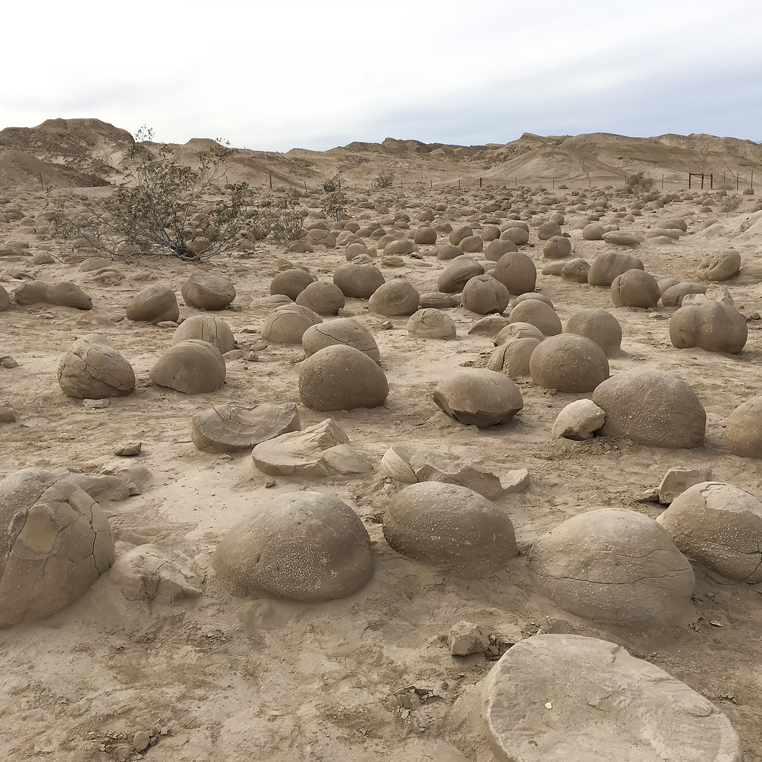 The Pumpkin Patch, a geological phenomenon