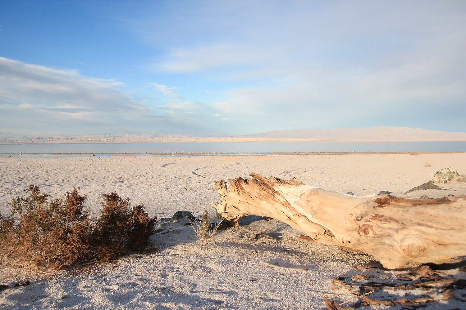It looks like a beautiful white sandy beach