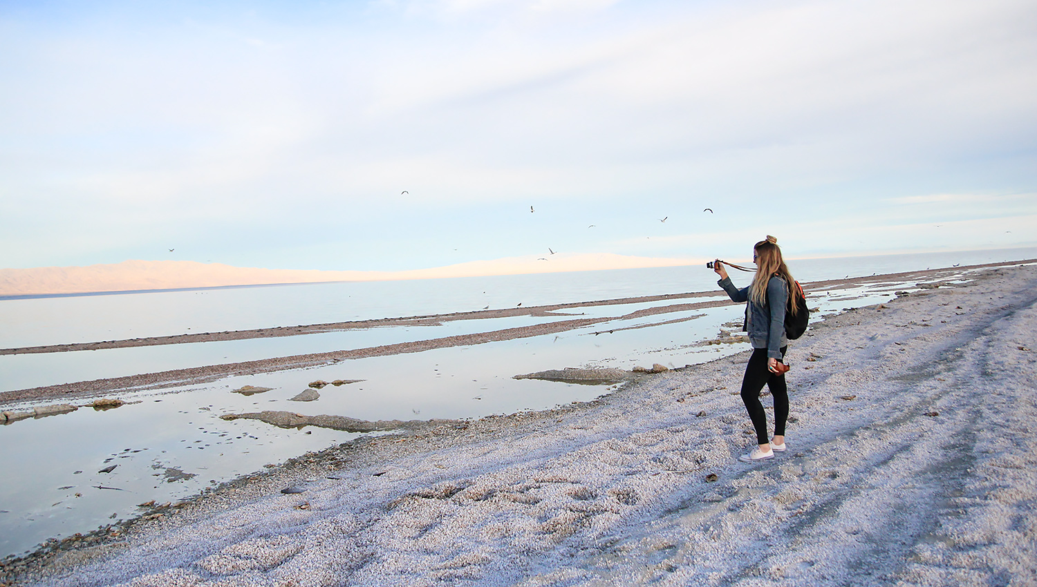 California’s Largest Lake: The Salton Sea