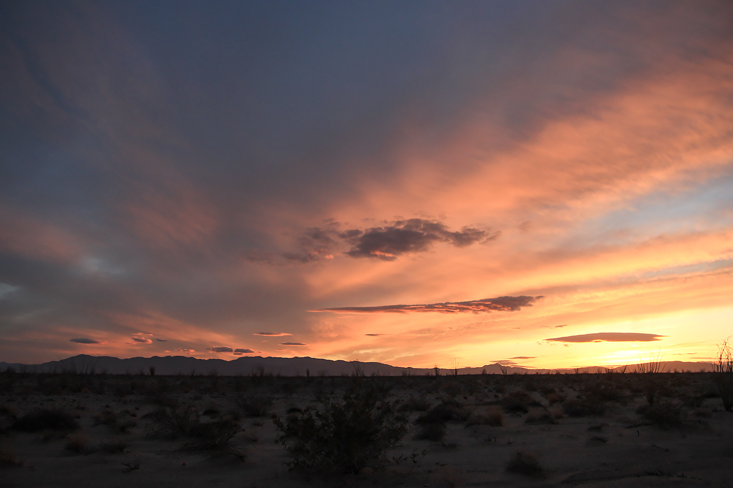 There is magic in the desert sky.