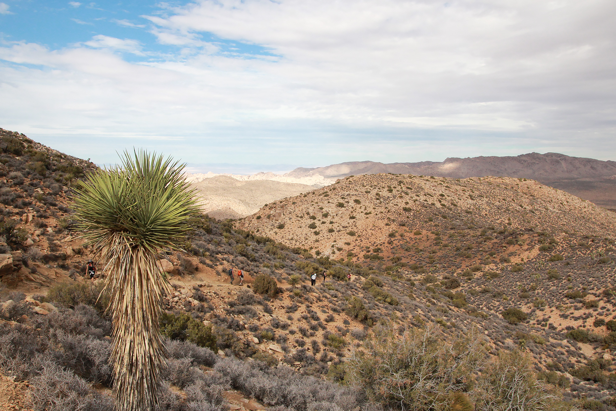 Cascading vistas