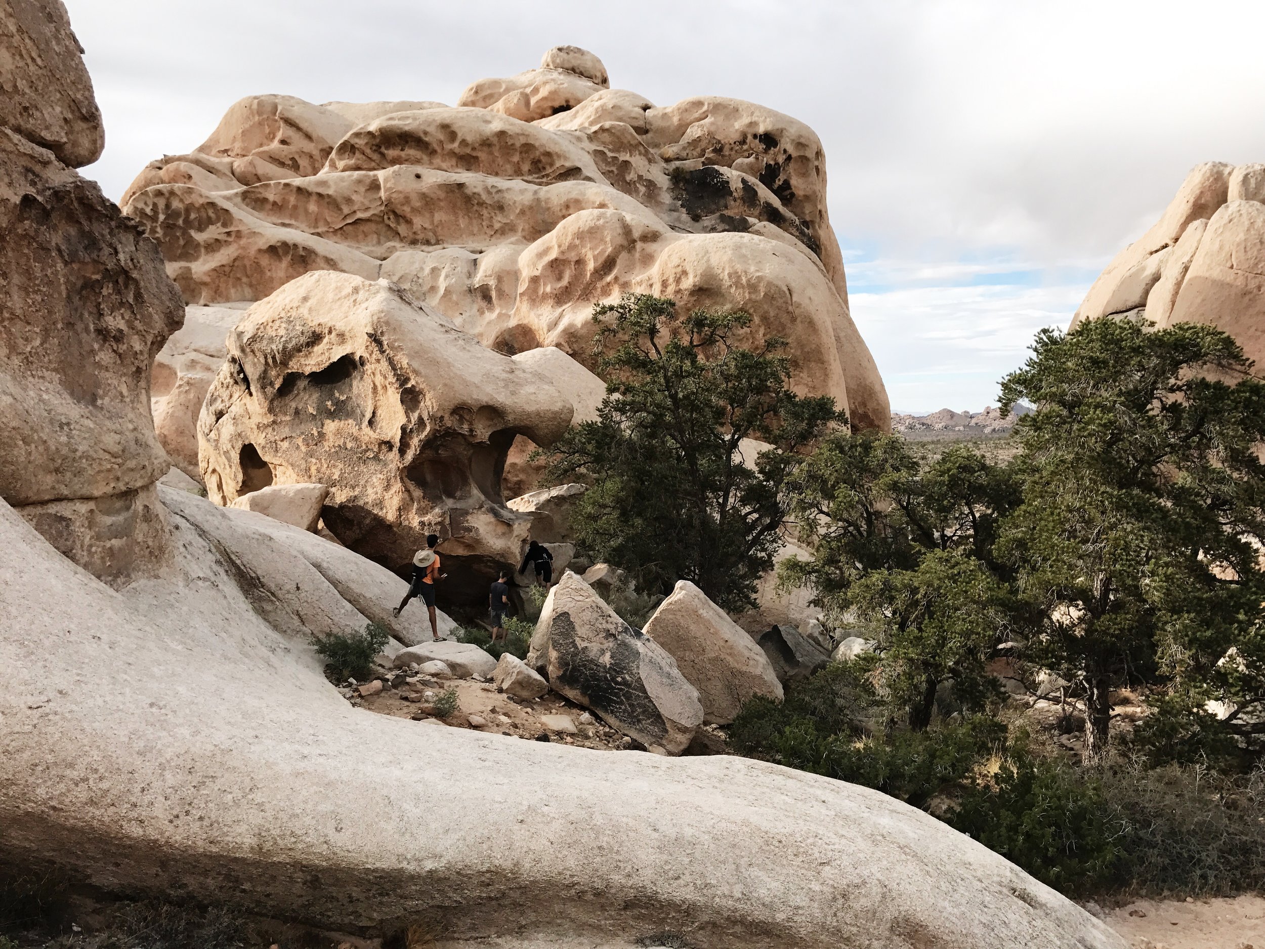 Discovering shapes in the mountain. This is a sad looking dinosaur. Can you find it?
