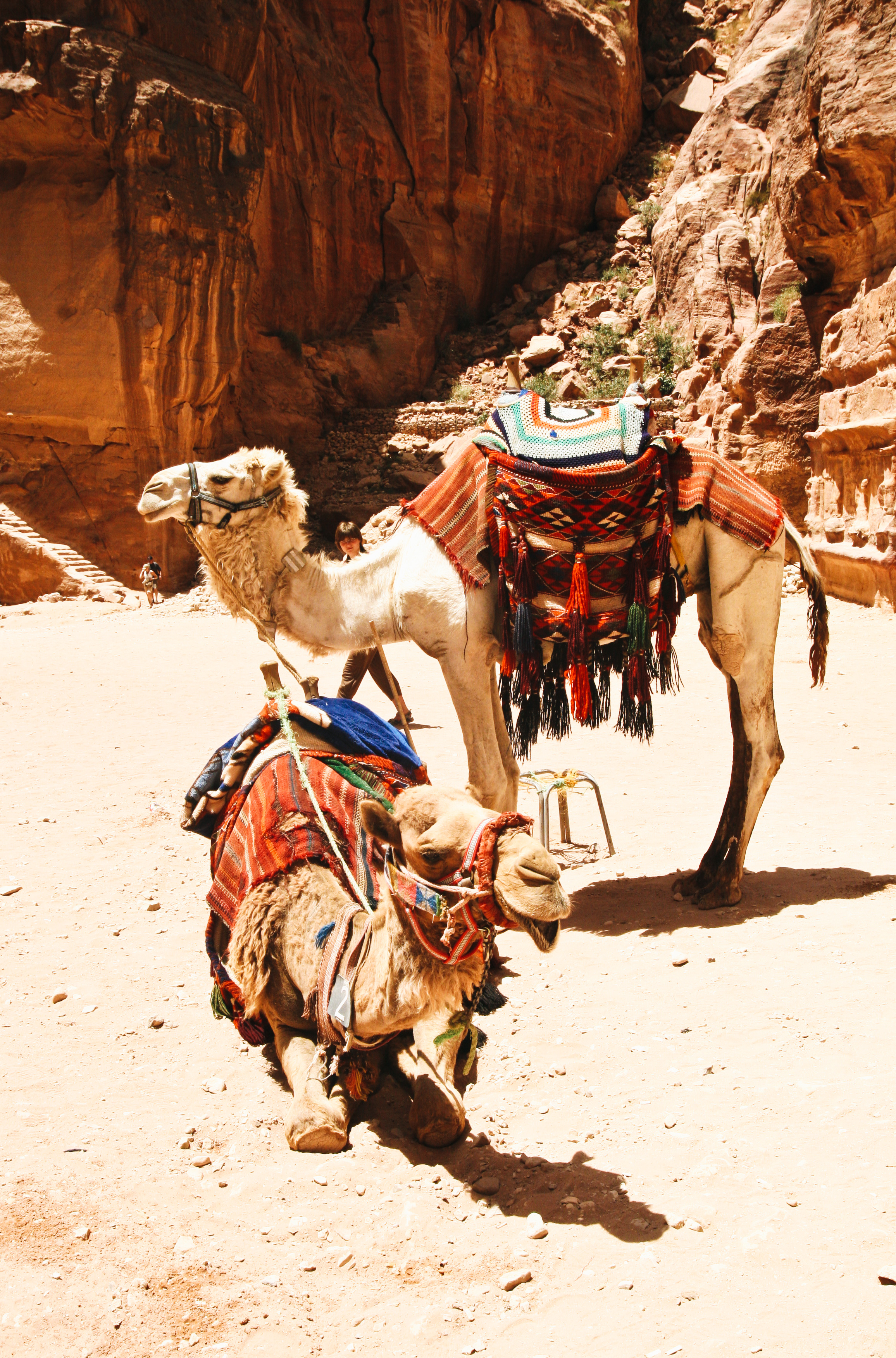 chrissihernandez-jordan-petra-01.jpg