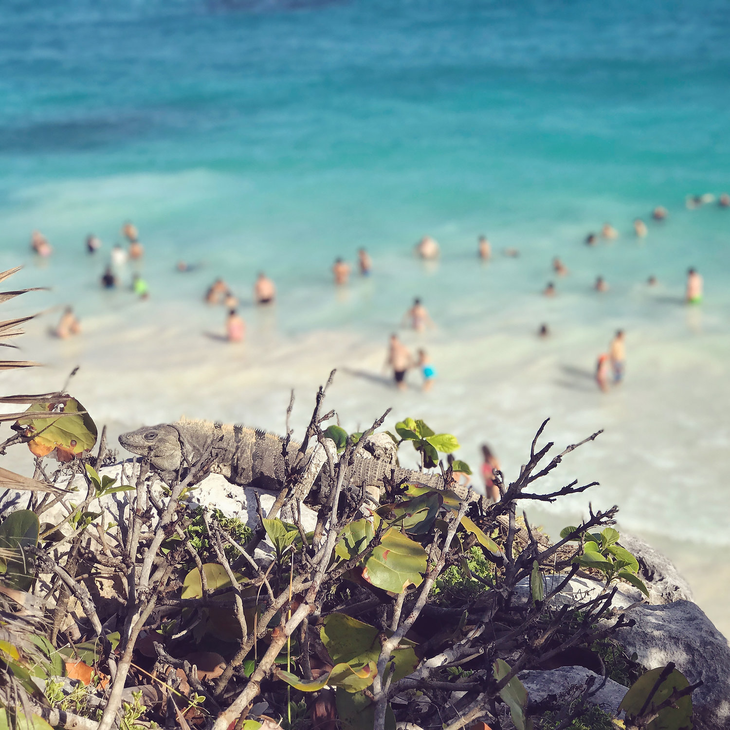 chrissihernandez_mexico_tulum.jpeg