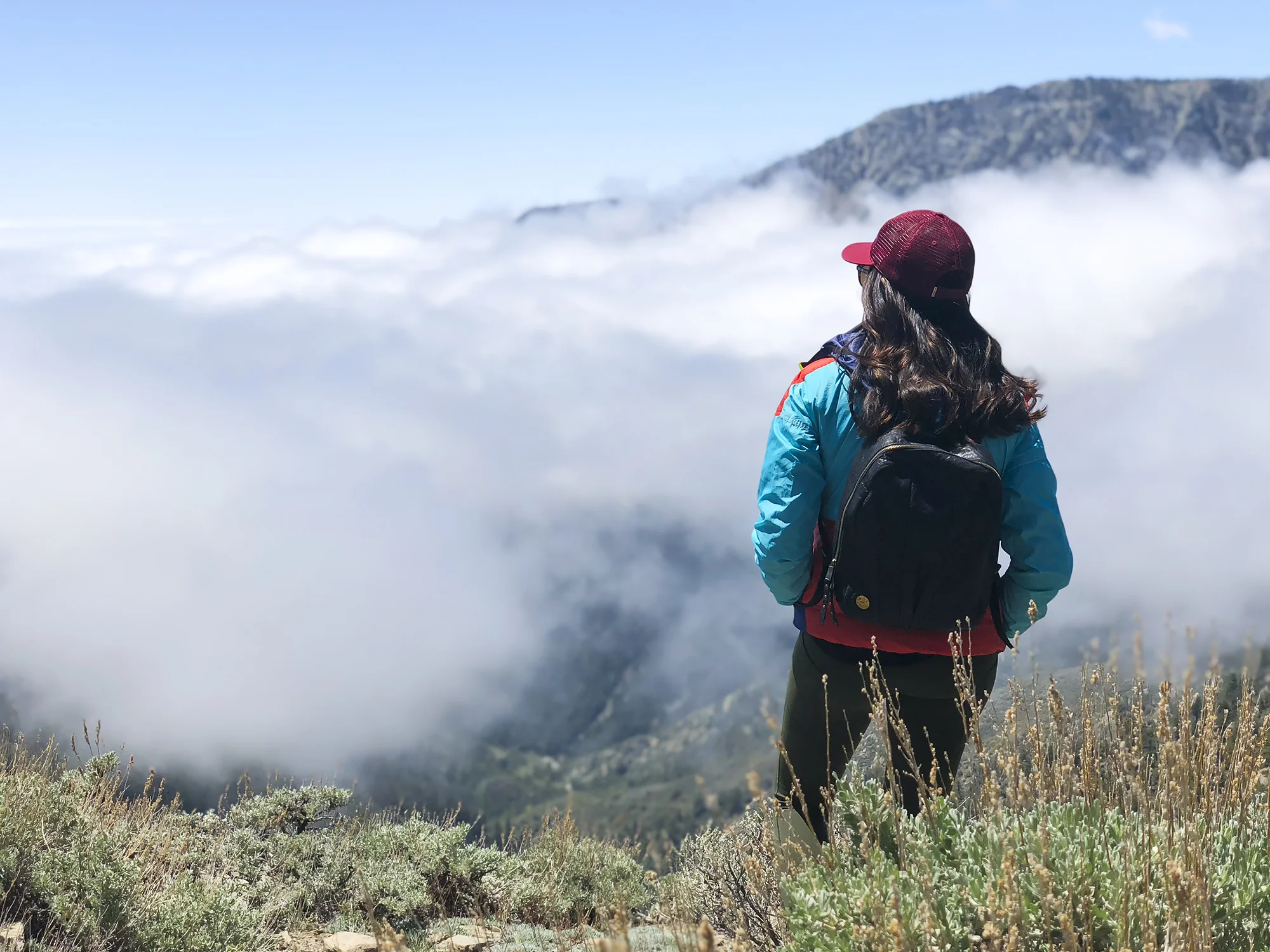 Experience a Thrilling Ziplining Adventure with Ziplines at Pacific