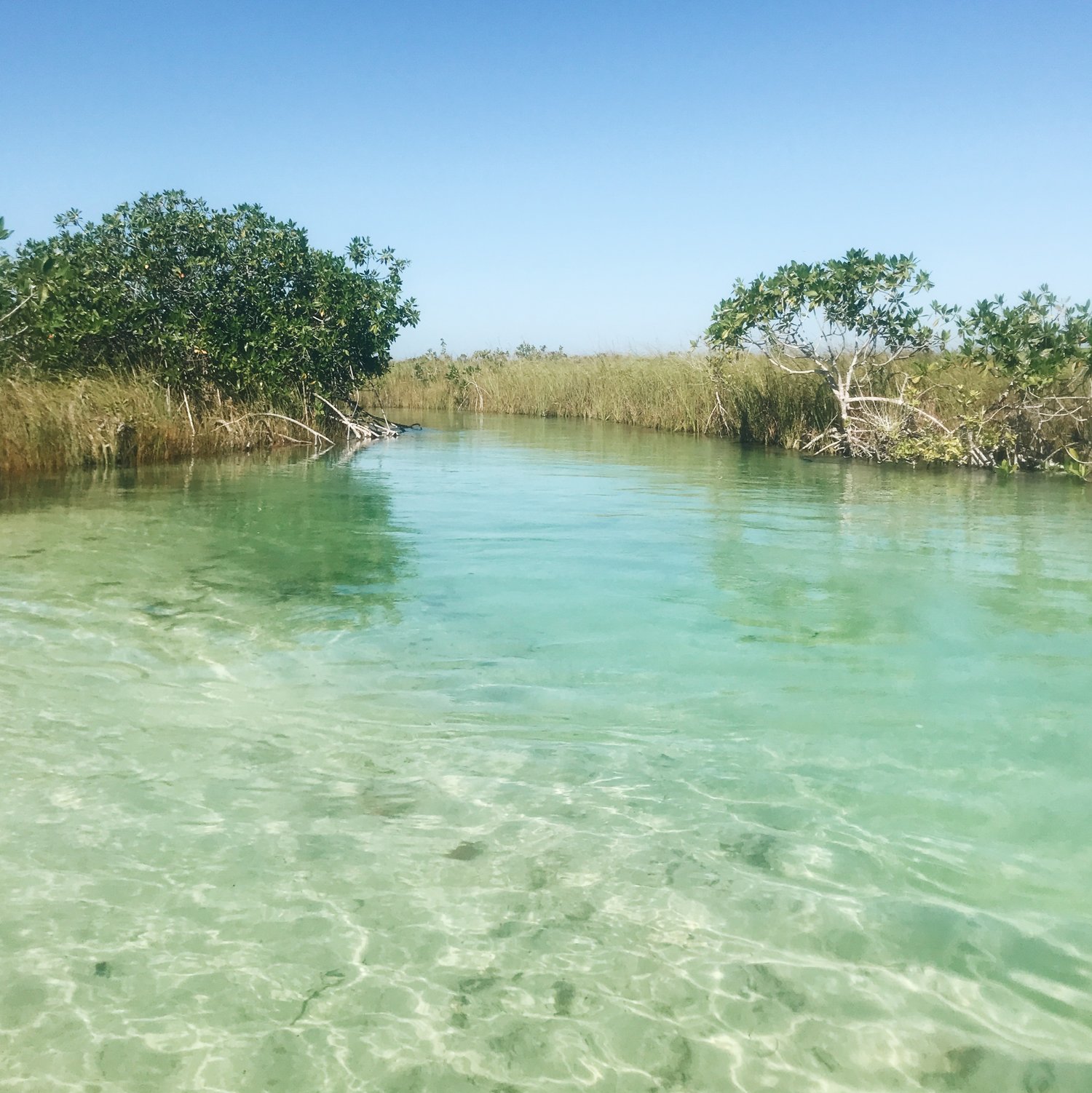 Float through the Mangroves of Sian Ka'an on this Lazy River Adventure