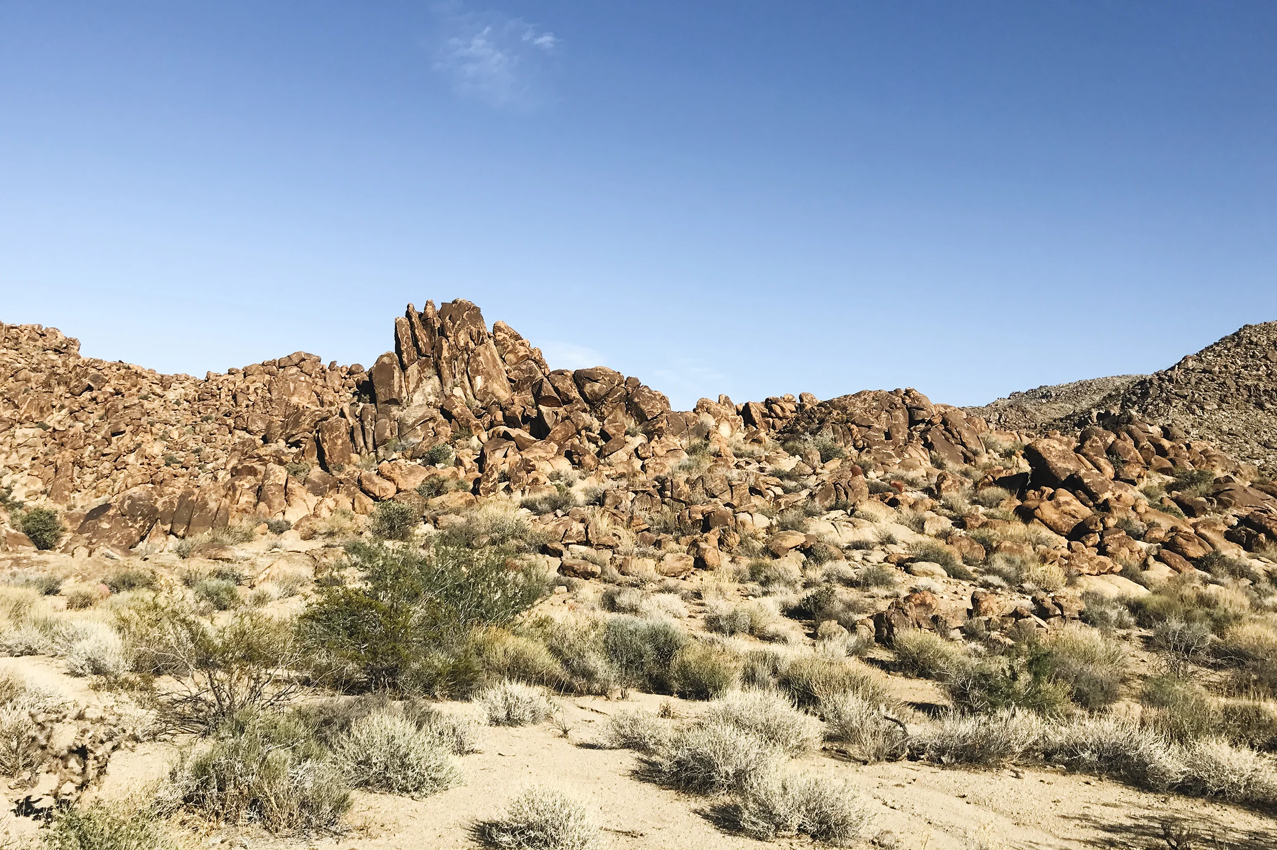 chrissihernandez_california-nevada-joshuatree-49palmsoasis (13)copy2500.jpg