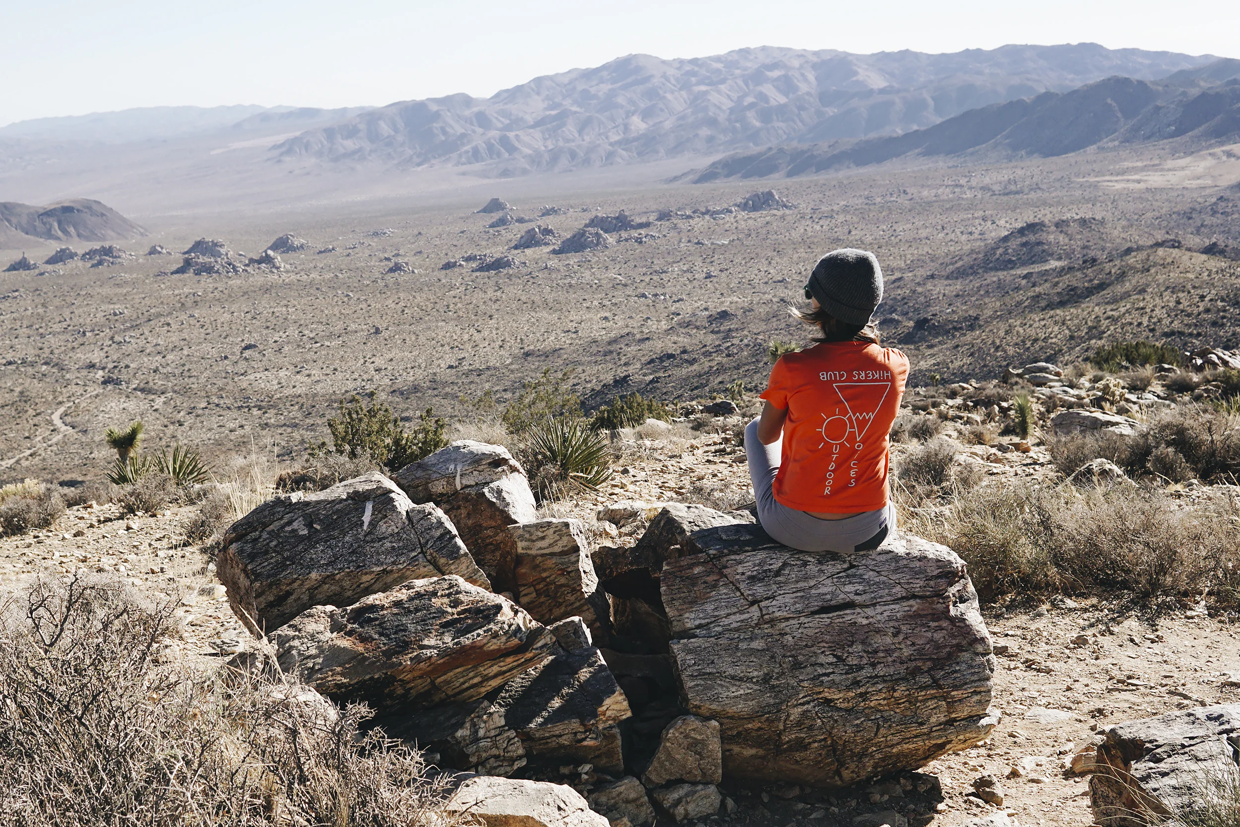 chrissihernandez-joshuatree-ryanmountain-sony (11)copy2500.jpg