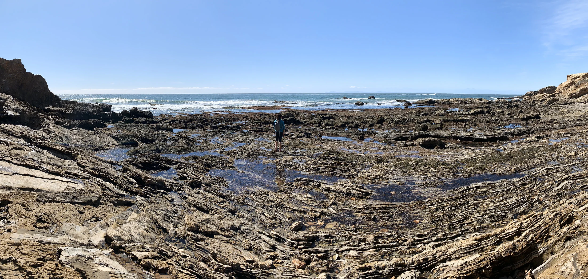 chrissihernandez-california-lagunaBeach-crystalCove (80)copy.jpg