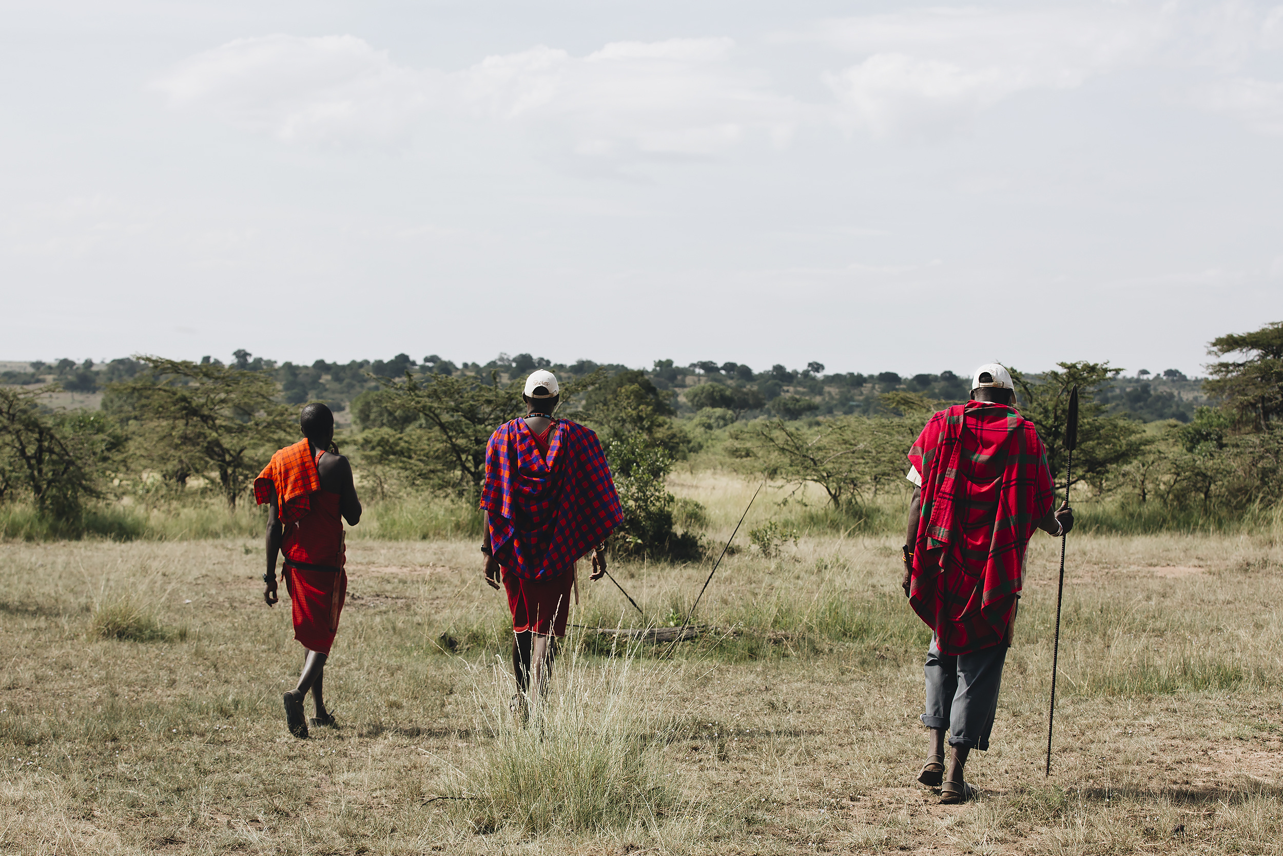 Masai Warriors Guiding the Way