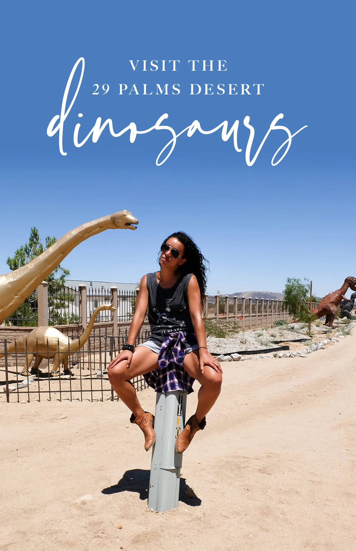 social-chrissihernandez-pin-palmsprings-29Palms-dinosaurs-02.jpg