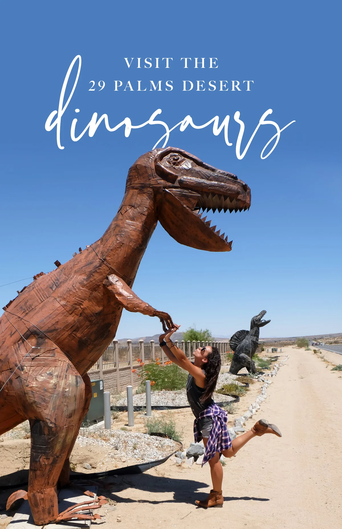 social-chrissihernandez-pin-palmsprings-29Palms-dinosaurs-03.jpg