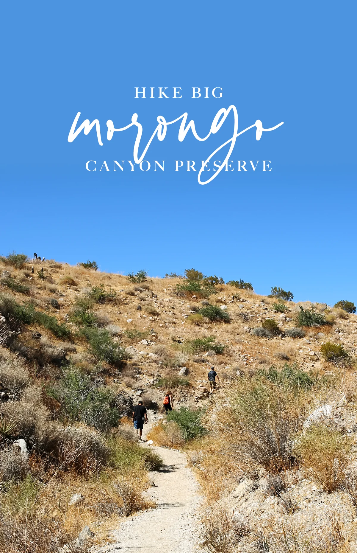 social-chrissihernandez-pin-bigmorongocanyon-01.jpg