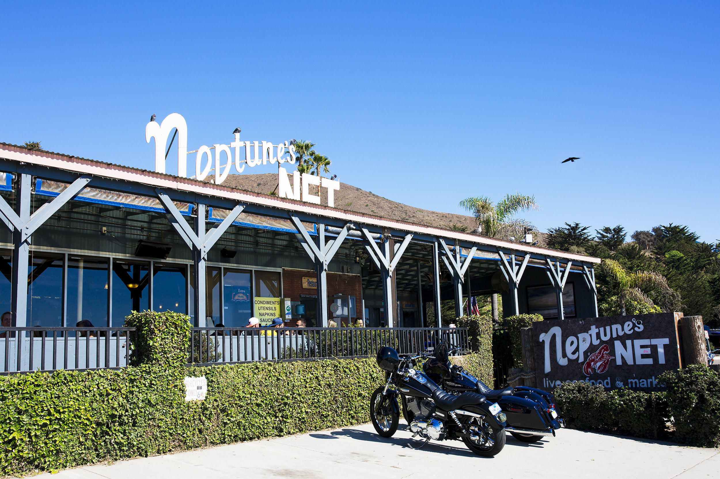 Eat Beachside at Neptunes Net, Malibu's landmark restaurant by the sea