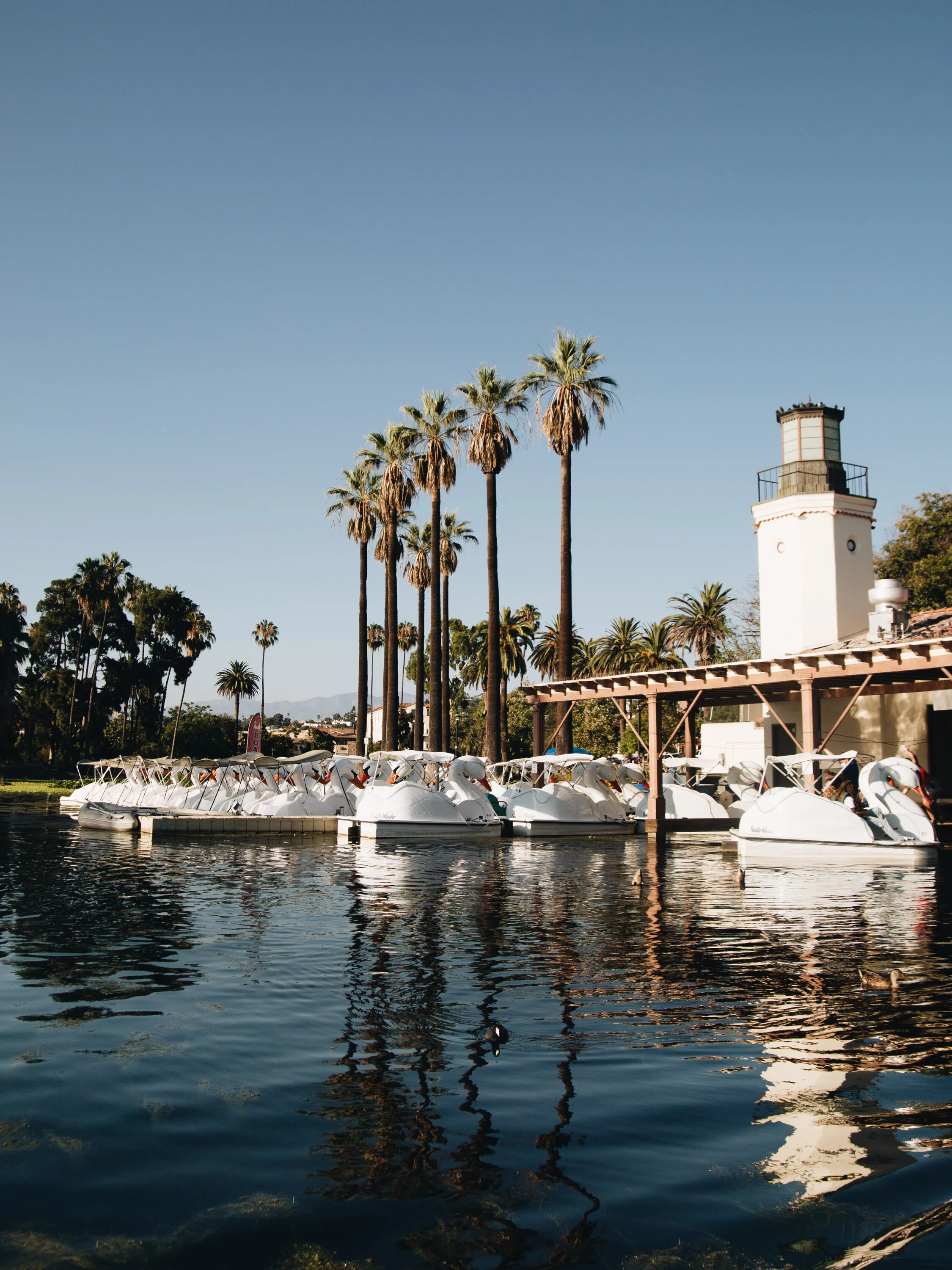 Ride the Quirky Echo Park Lake Swan Pedal Boats — Chrissi Hernandez