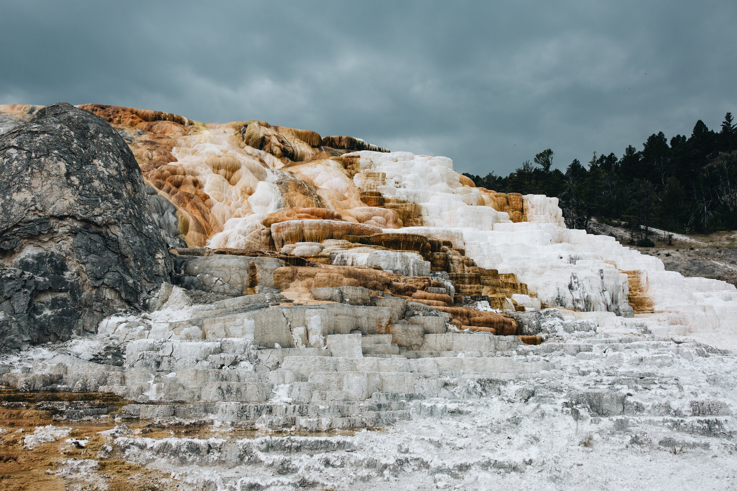 Explore the Limestone Terraces of Mammoth Hot Springs