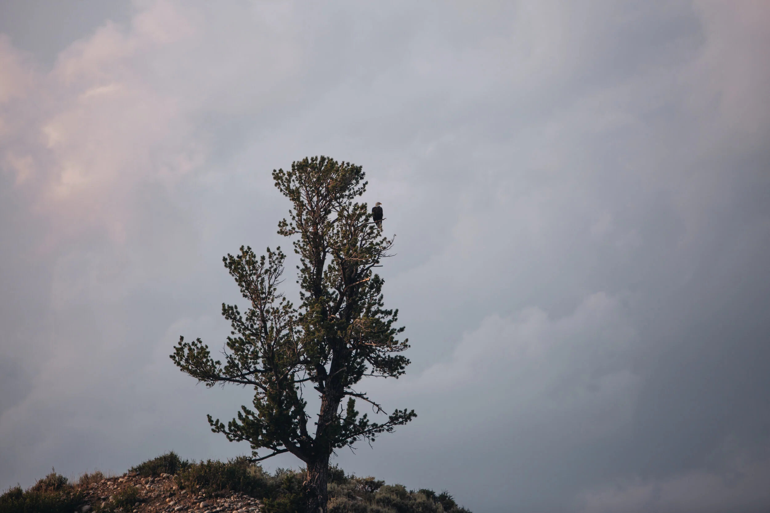 chrissihernandez-wyoming-grandteton (8).jpg