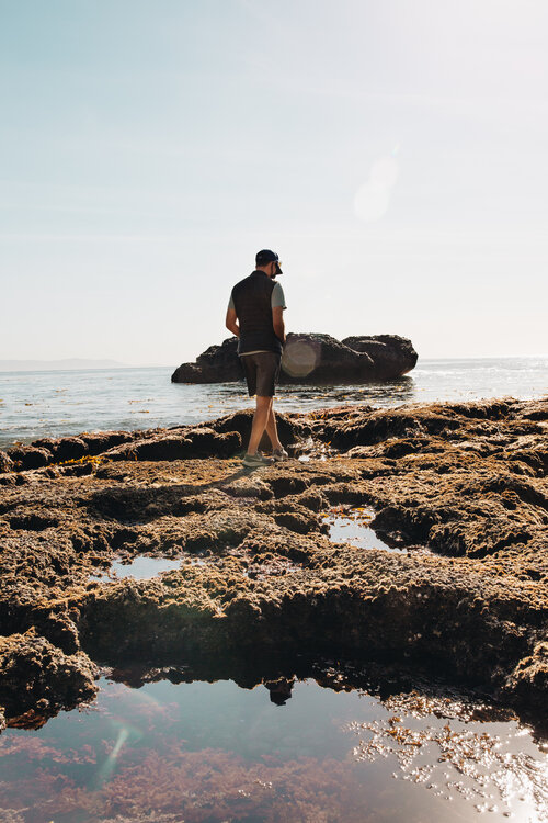 Explore the Ocean Cliff Trails and Tide pools of Palos Verdes Nature ...