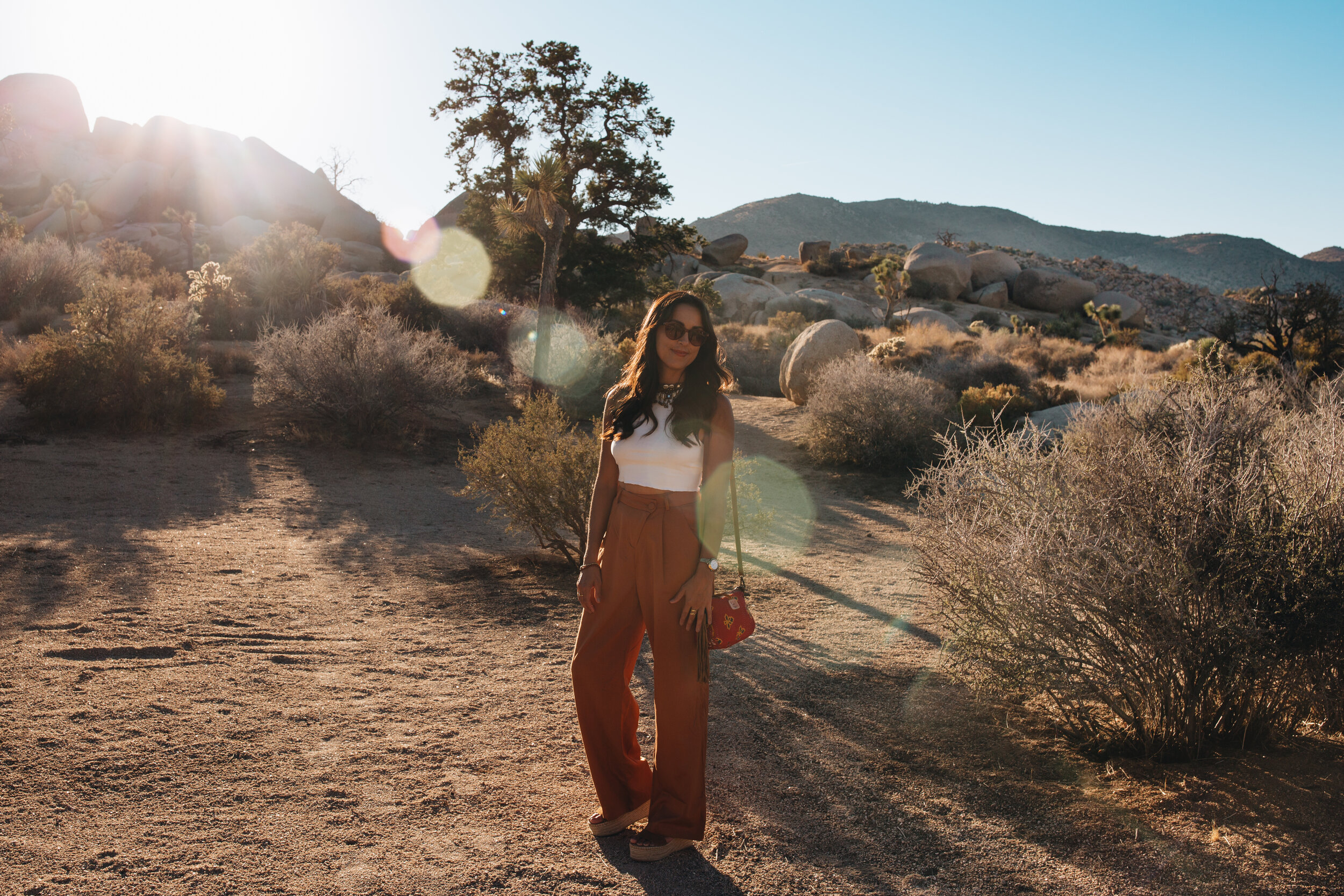 chrissihernandez-california-joshuatree-garthsbouldergardens (19).jpg