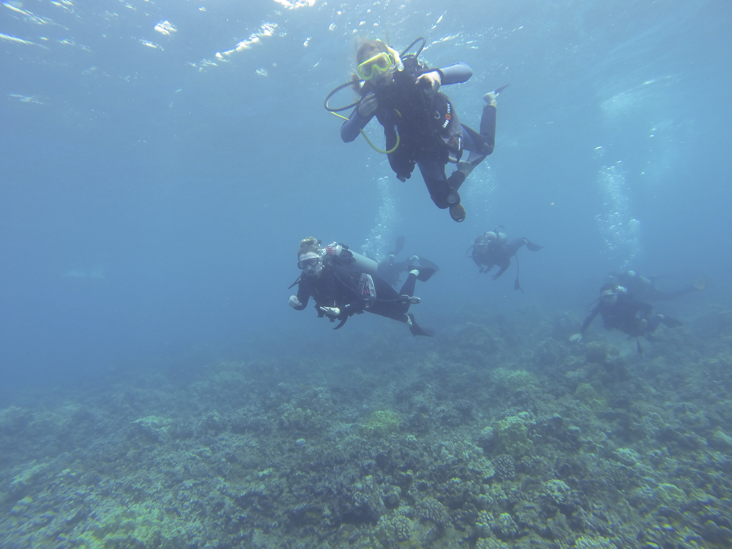 chrissihernandez-hawaii-maui-diving (21)copy.jpg