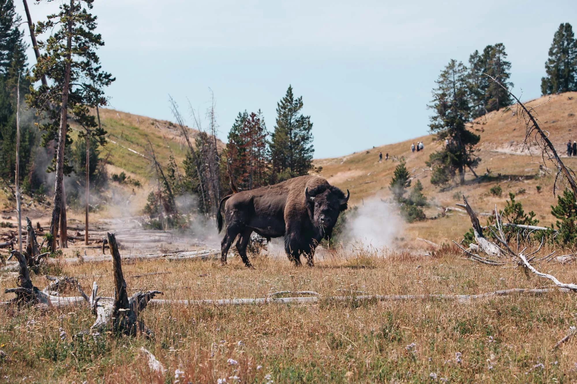 What To Wear To Yellowstone National Park — Chrissi Hernandez