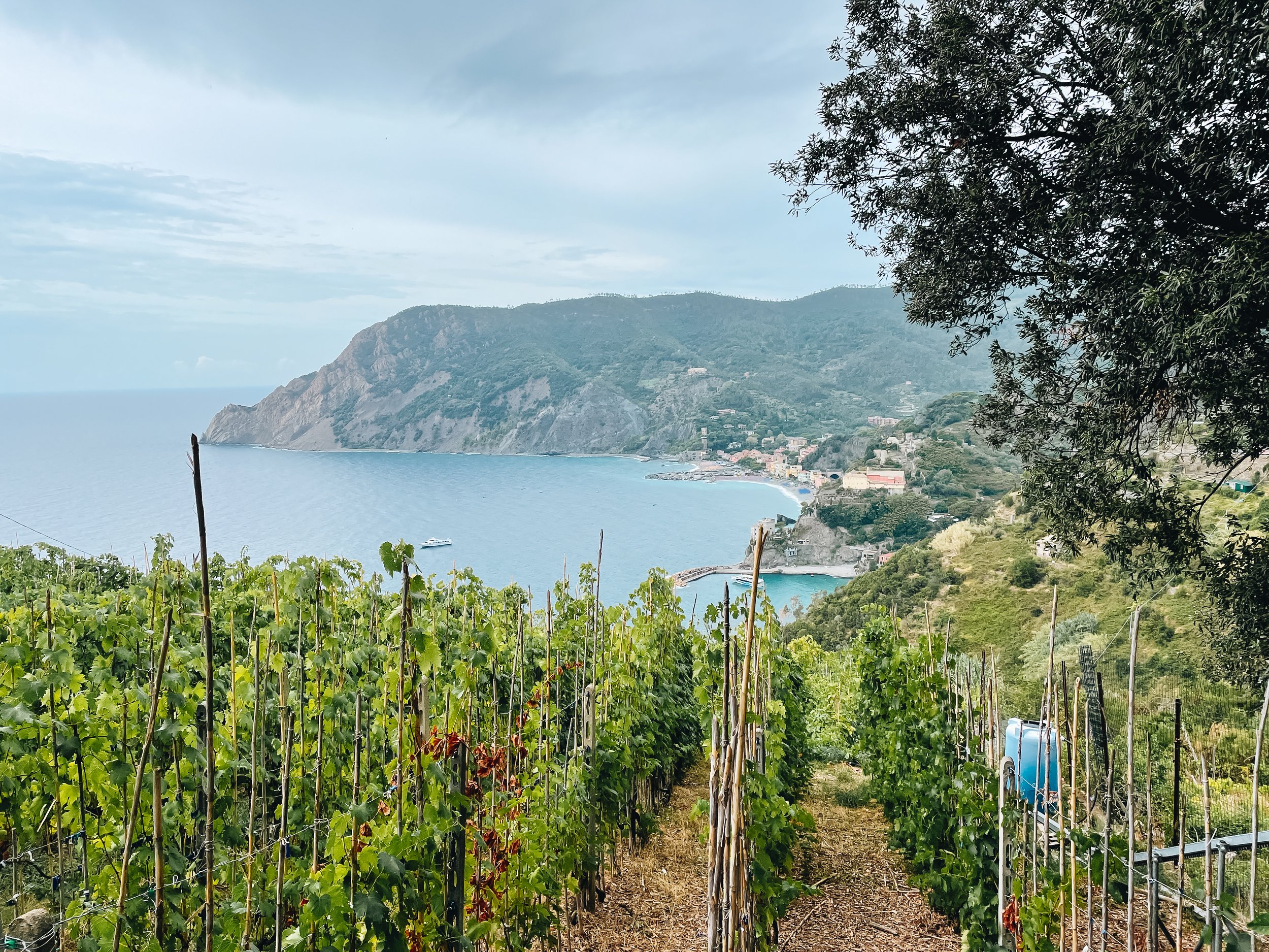 The hike from Monterosso al Mare to Vernazza