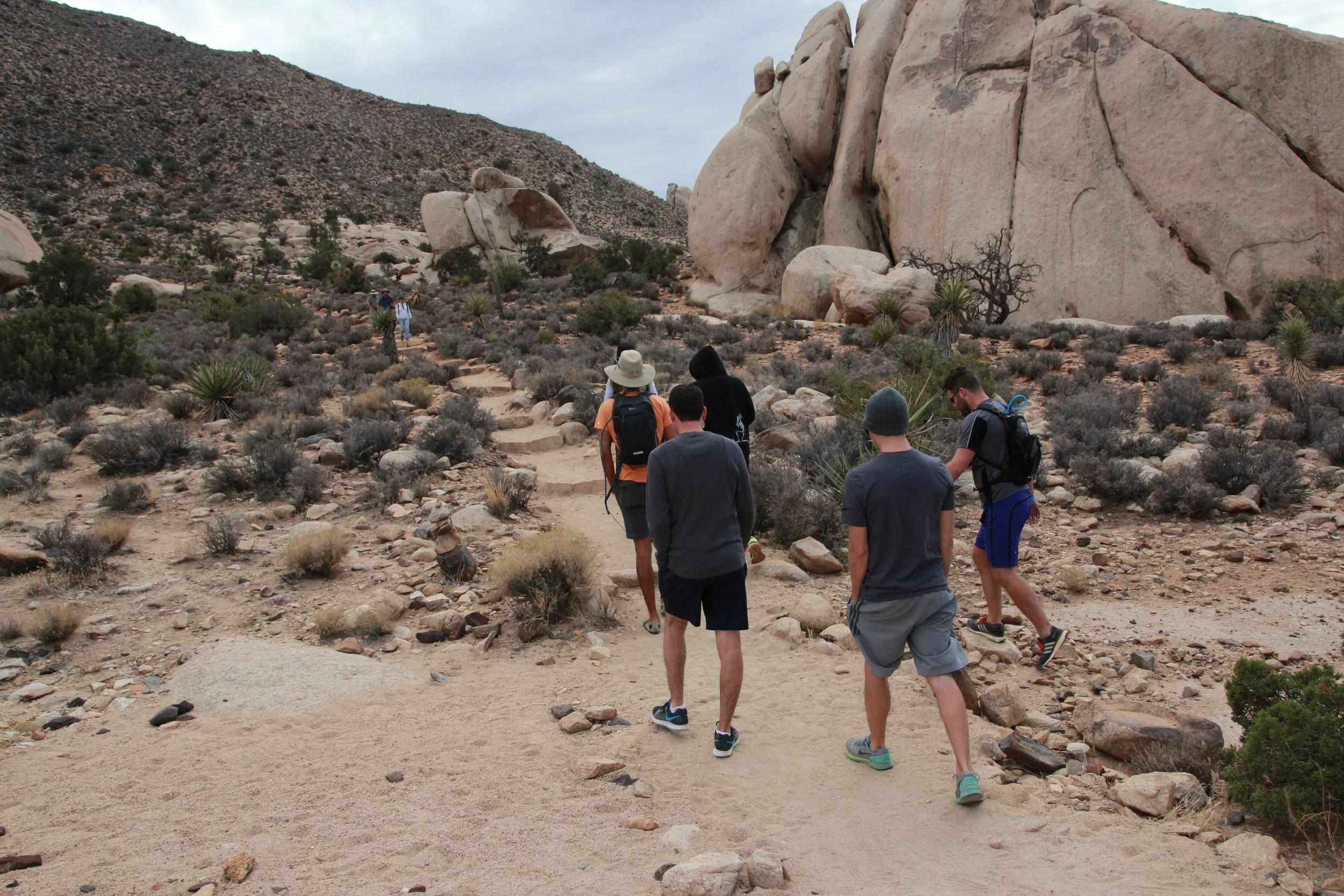 Hike Ryan Mountain in Joshua Tree — Chrissi Hernandez