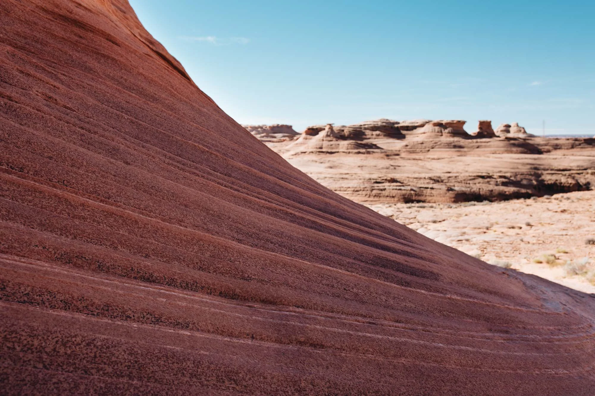 Hike The Beehive Trail, nicknamed "The New Wave" — Chrissi Hernandez
