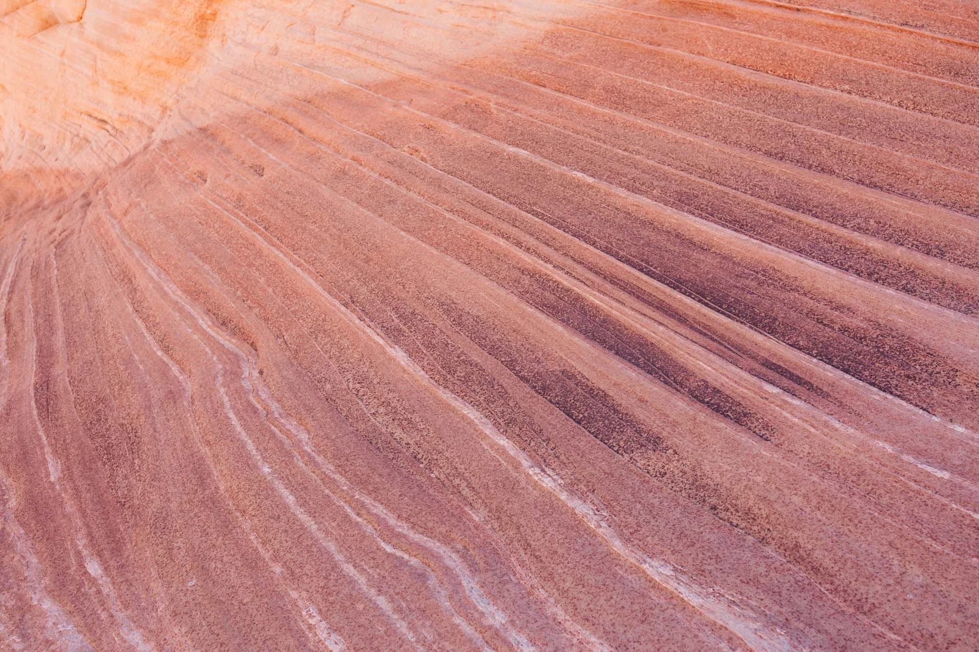 Hike The Beehive Trail, nicknamed "The New Wave" — Chrissi Hernandez