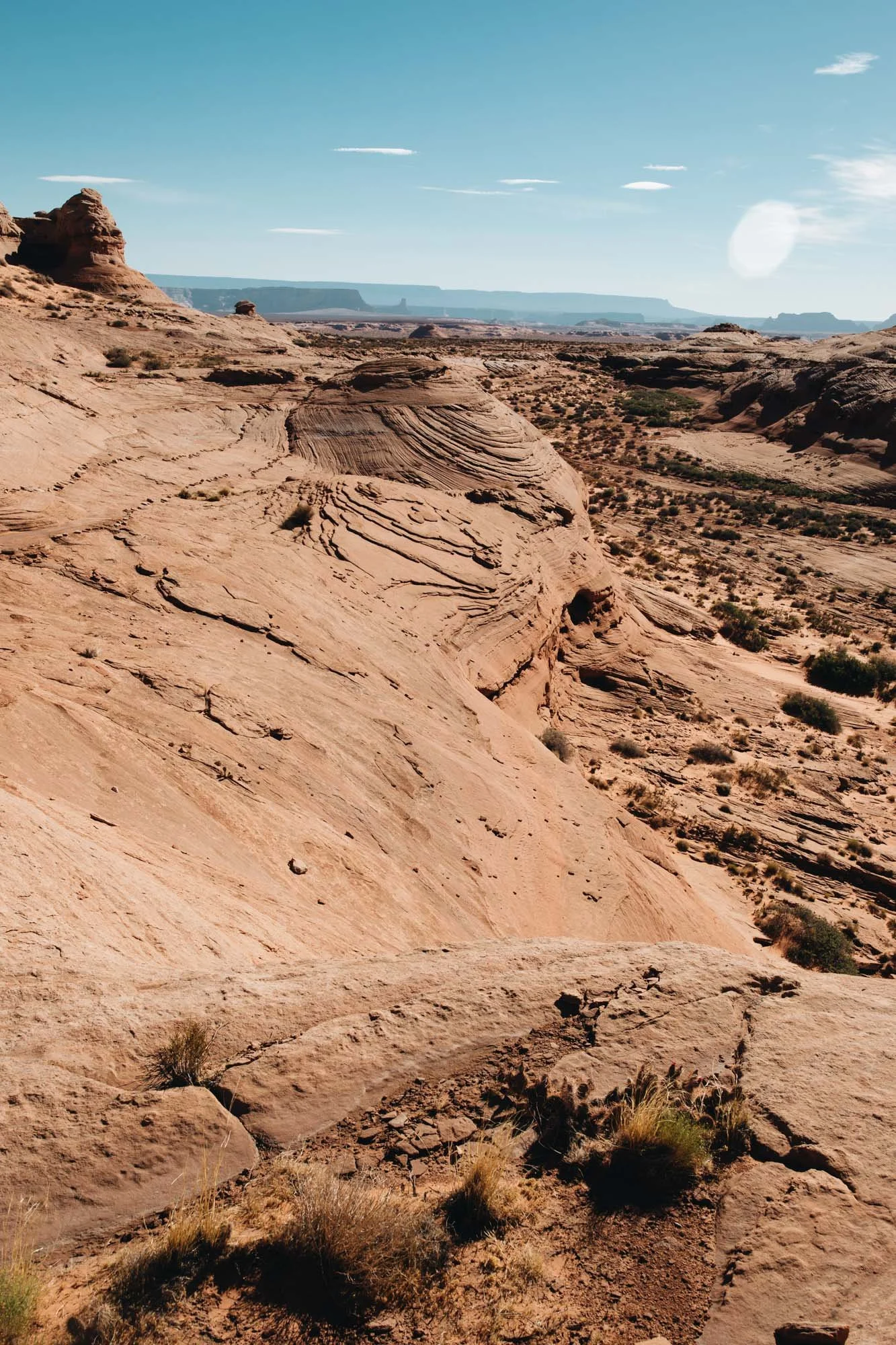 Hike The Beehive Trail, nicknamed "The New Wave" — Chrissi Hernandez