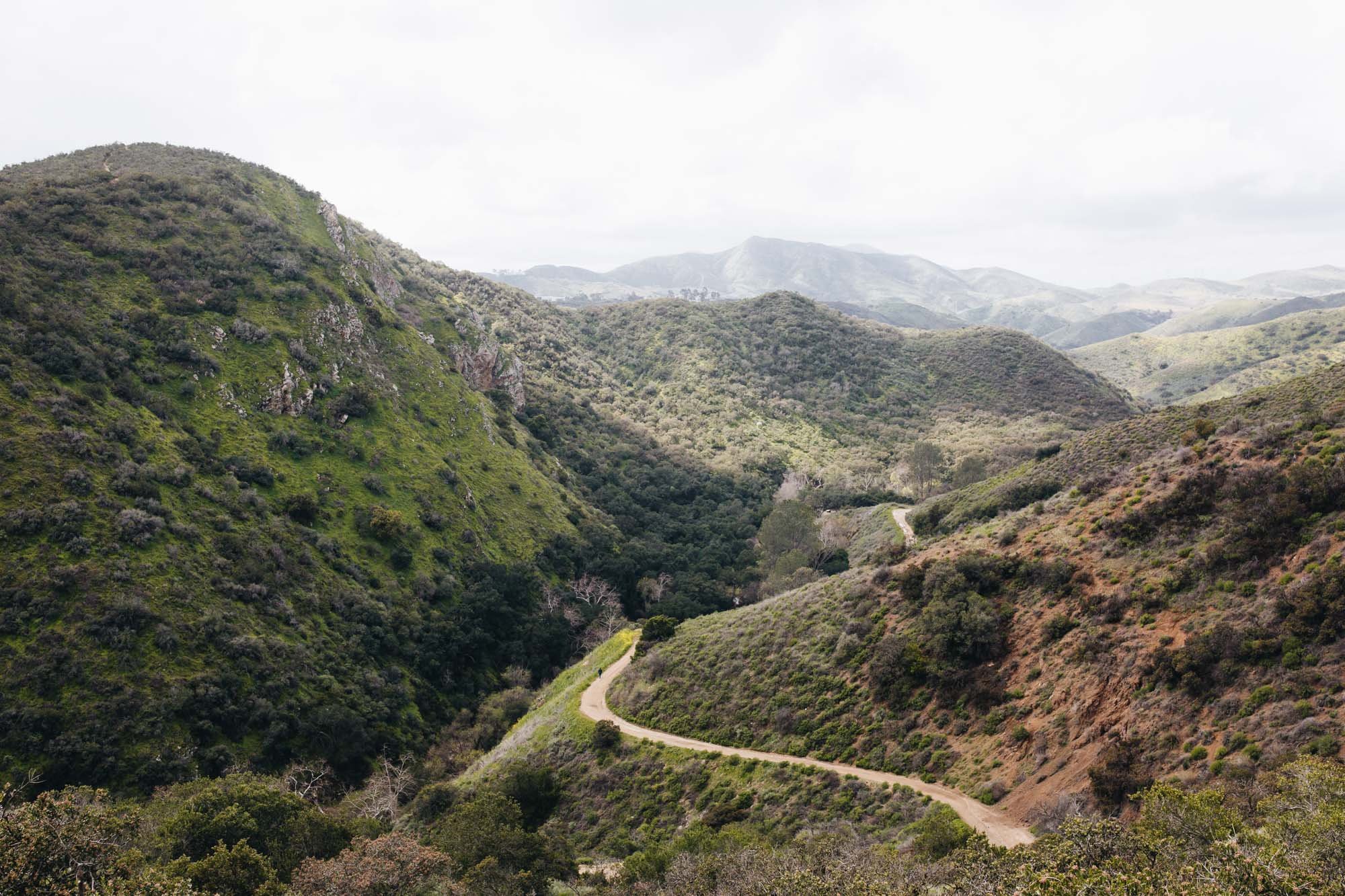 Paradise Falls Hike - Wildwood Park in Thousand Oaks — Conejo Valley Guide