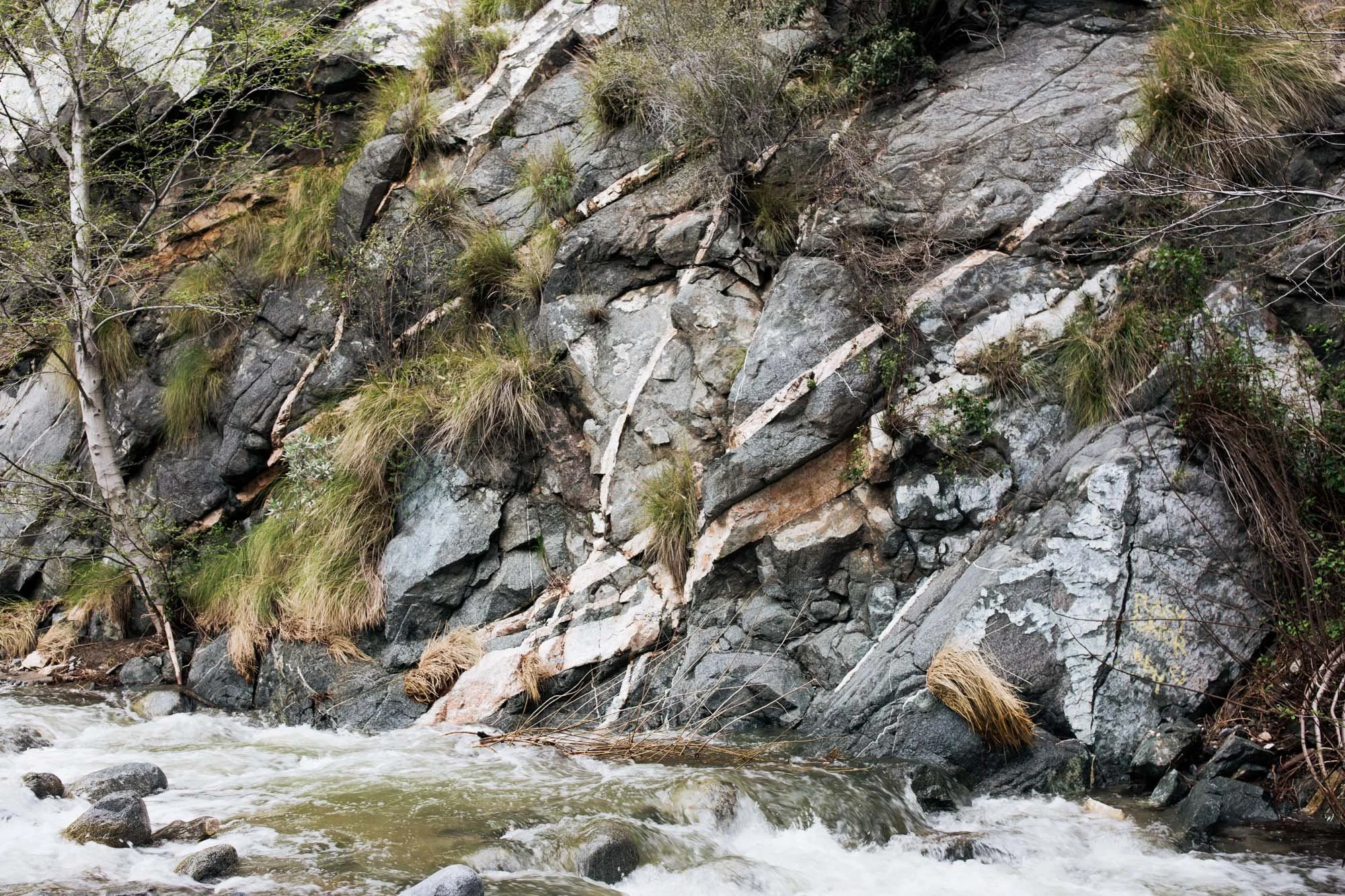 Hike Eaton Canyon Falls Trail