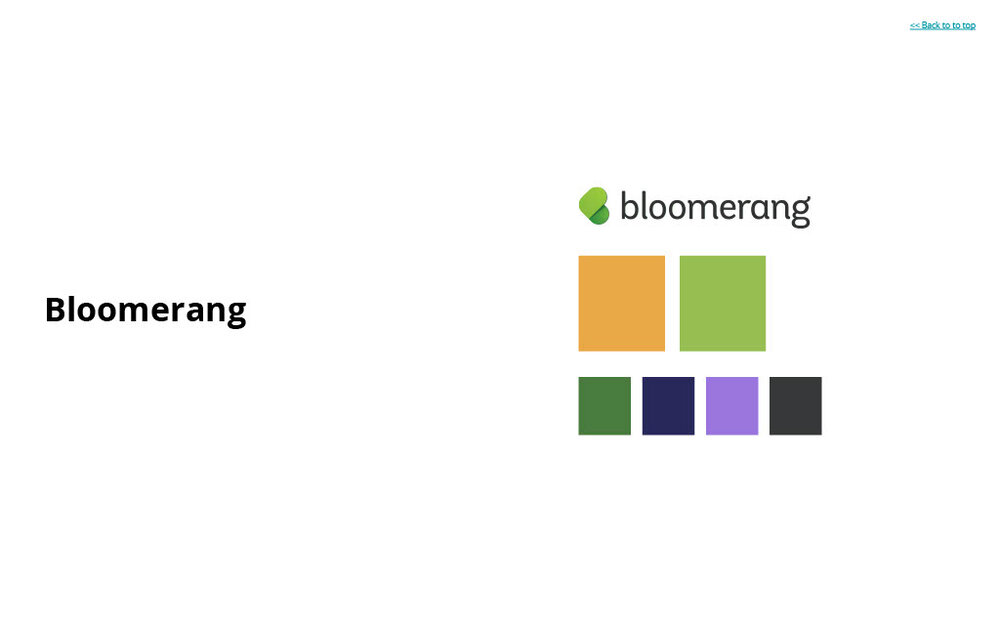 Bloomerang Brand