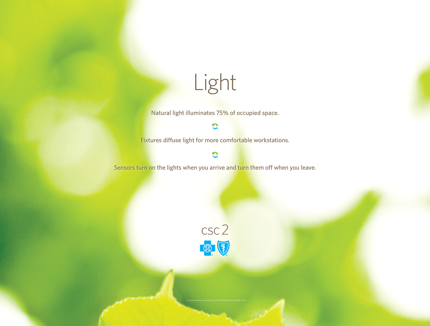 green-13.jpg