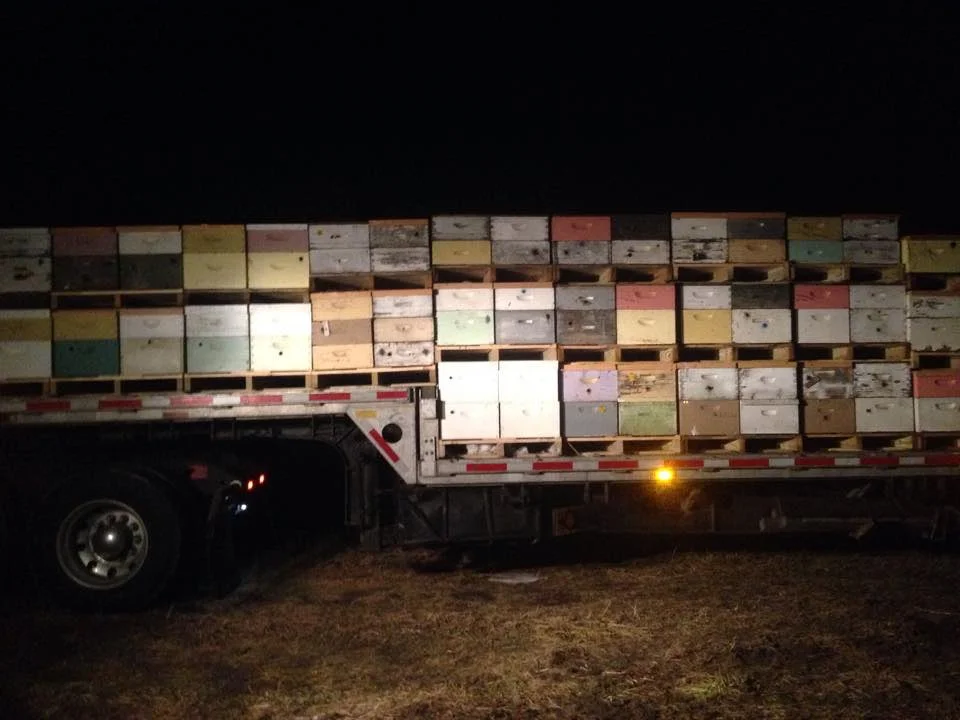 One of the Ames Farm trucks getting ready for the road trip to texas