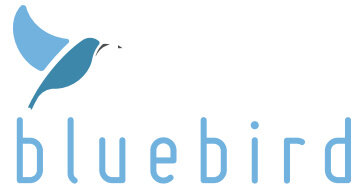 bluebird-choice.jpg