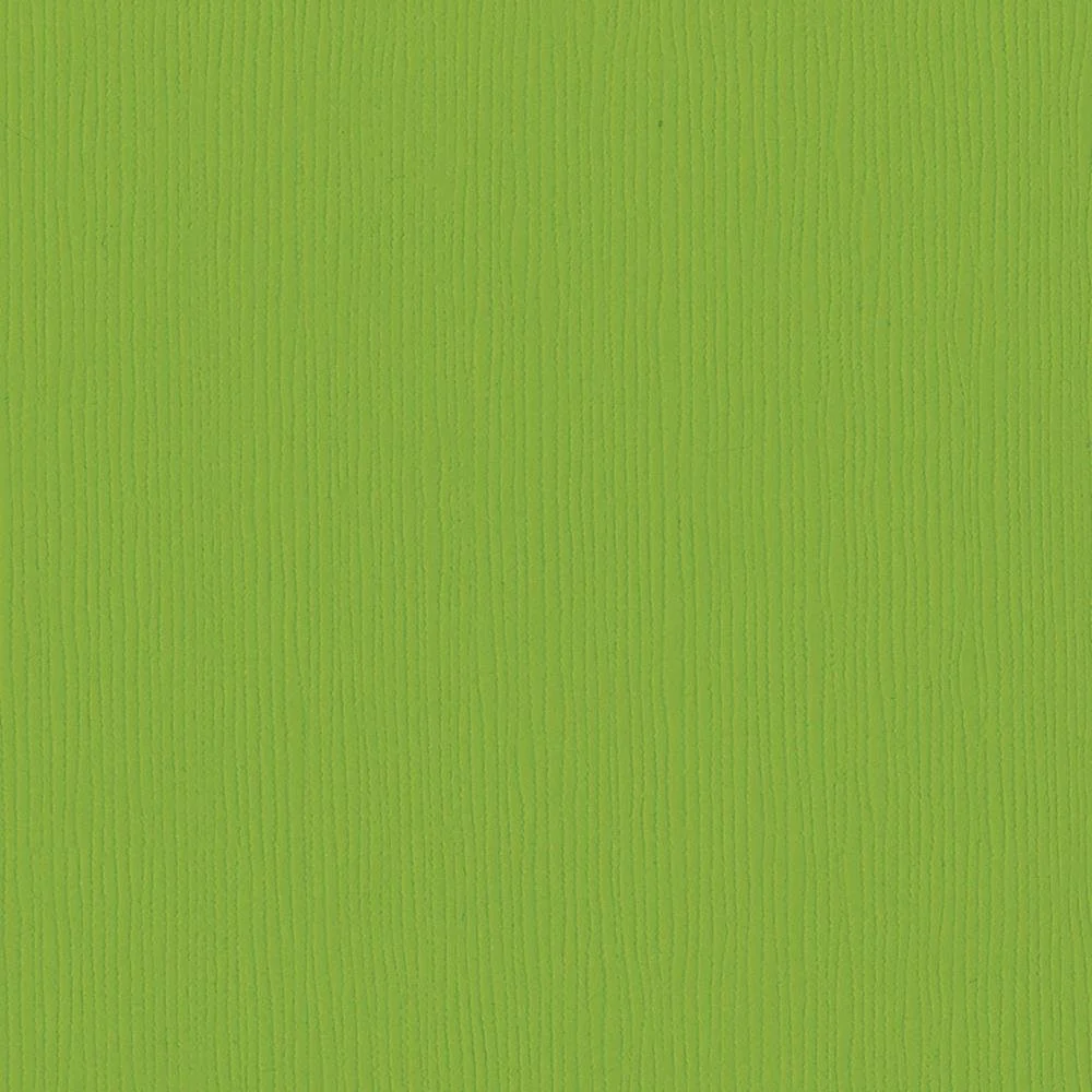 Bazzill Fourz Cardstock 12"X12" Intense Kiwi