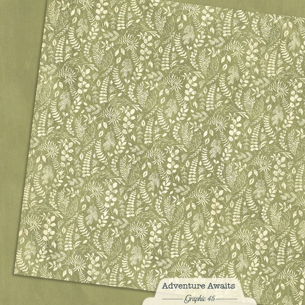 *Pre-Order* Graphic 45 Adventure Awaits 12" x 12" Paper Fern Green