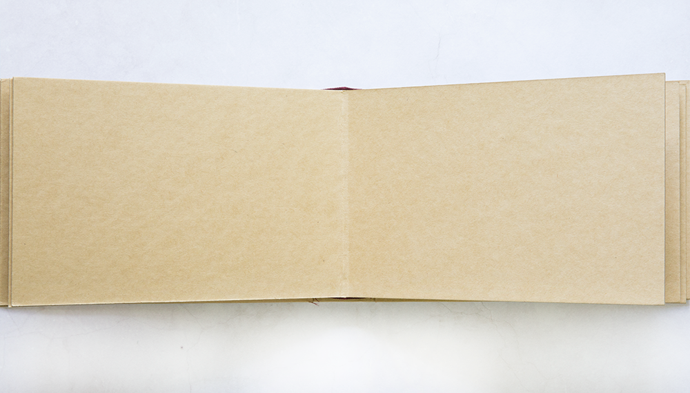 rectangle3.png